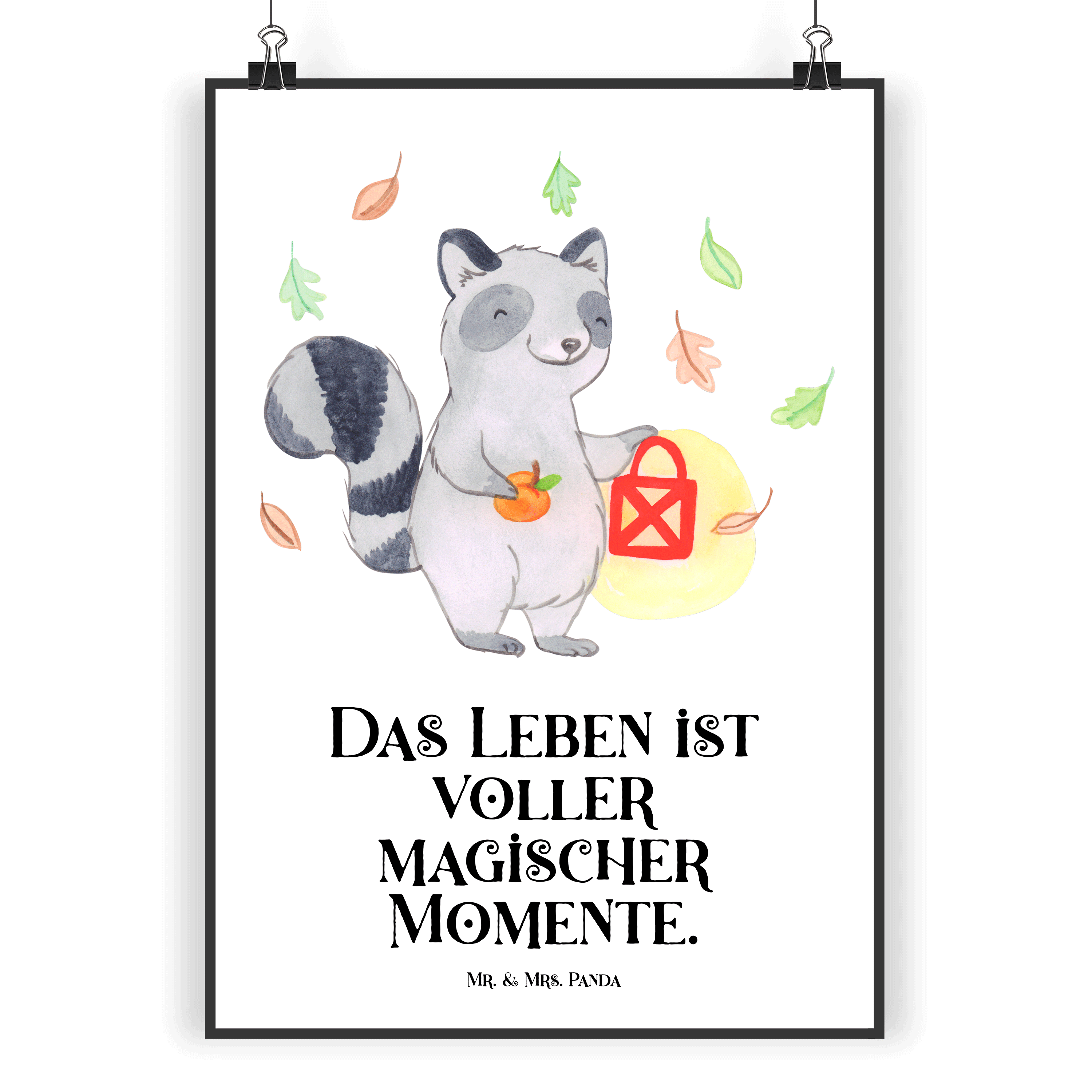 Poster Waschbär Laterne