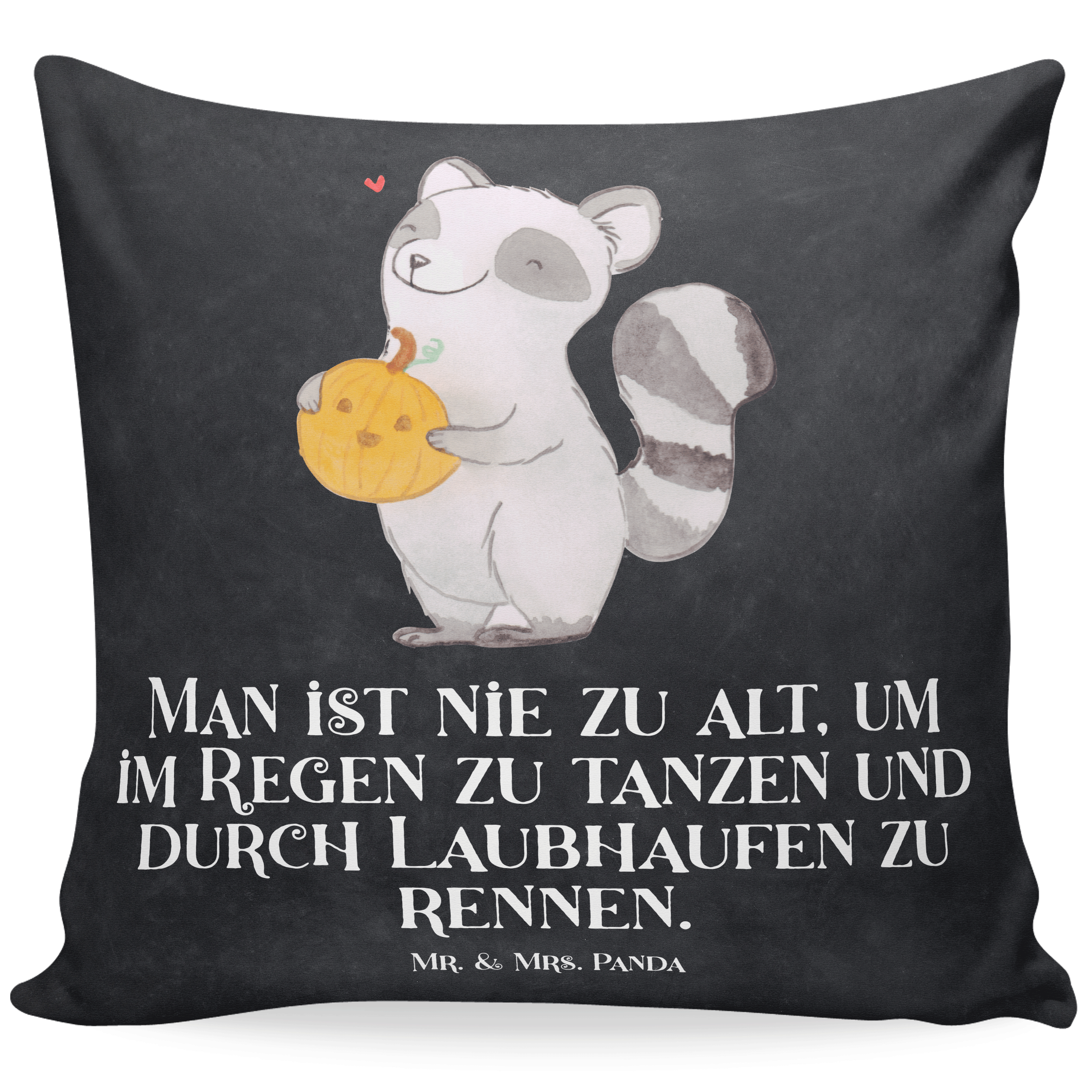 40x40 Kissen Waschbär Kürbis