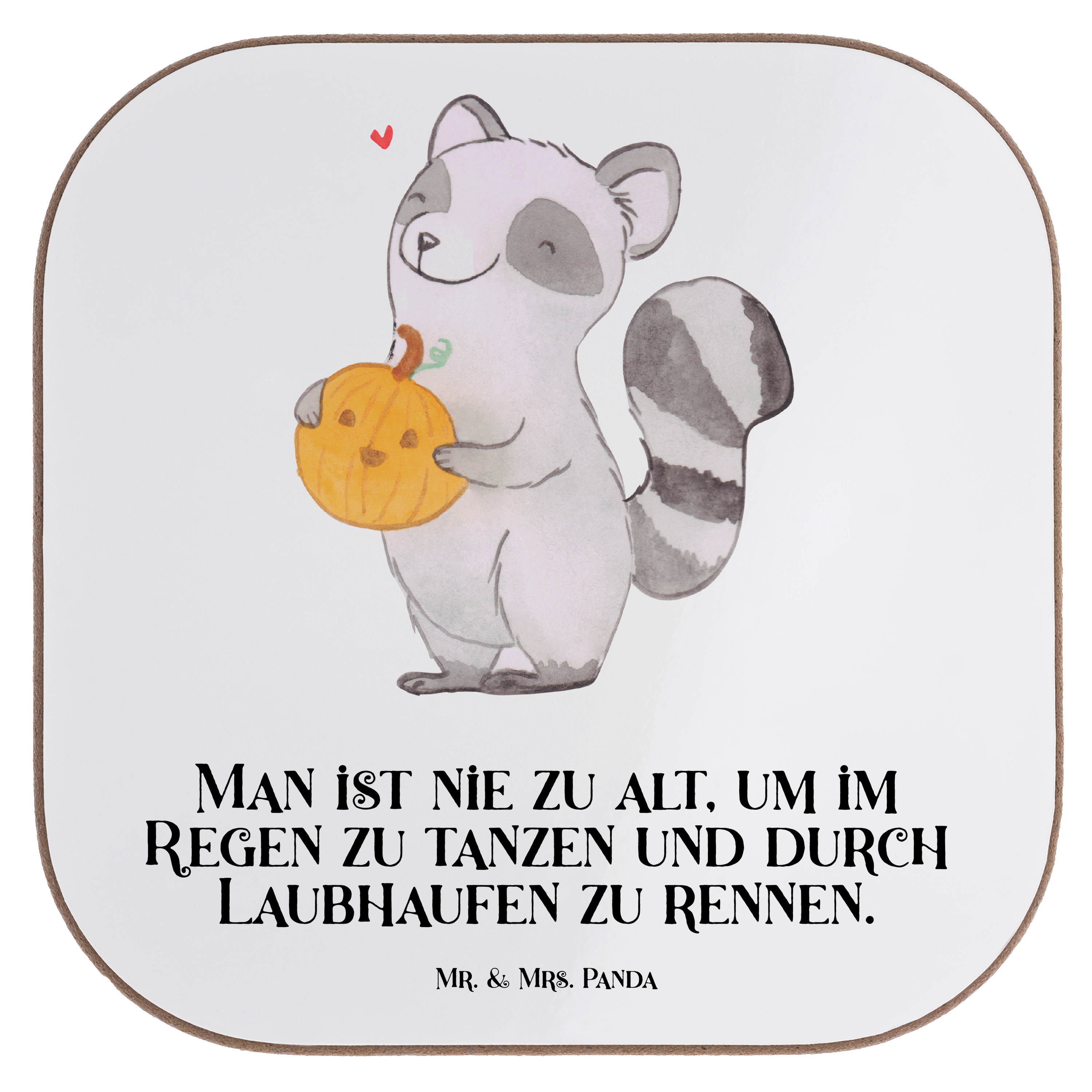 Untersetzer Waschbär Kürbis