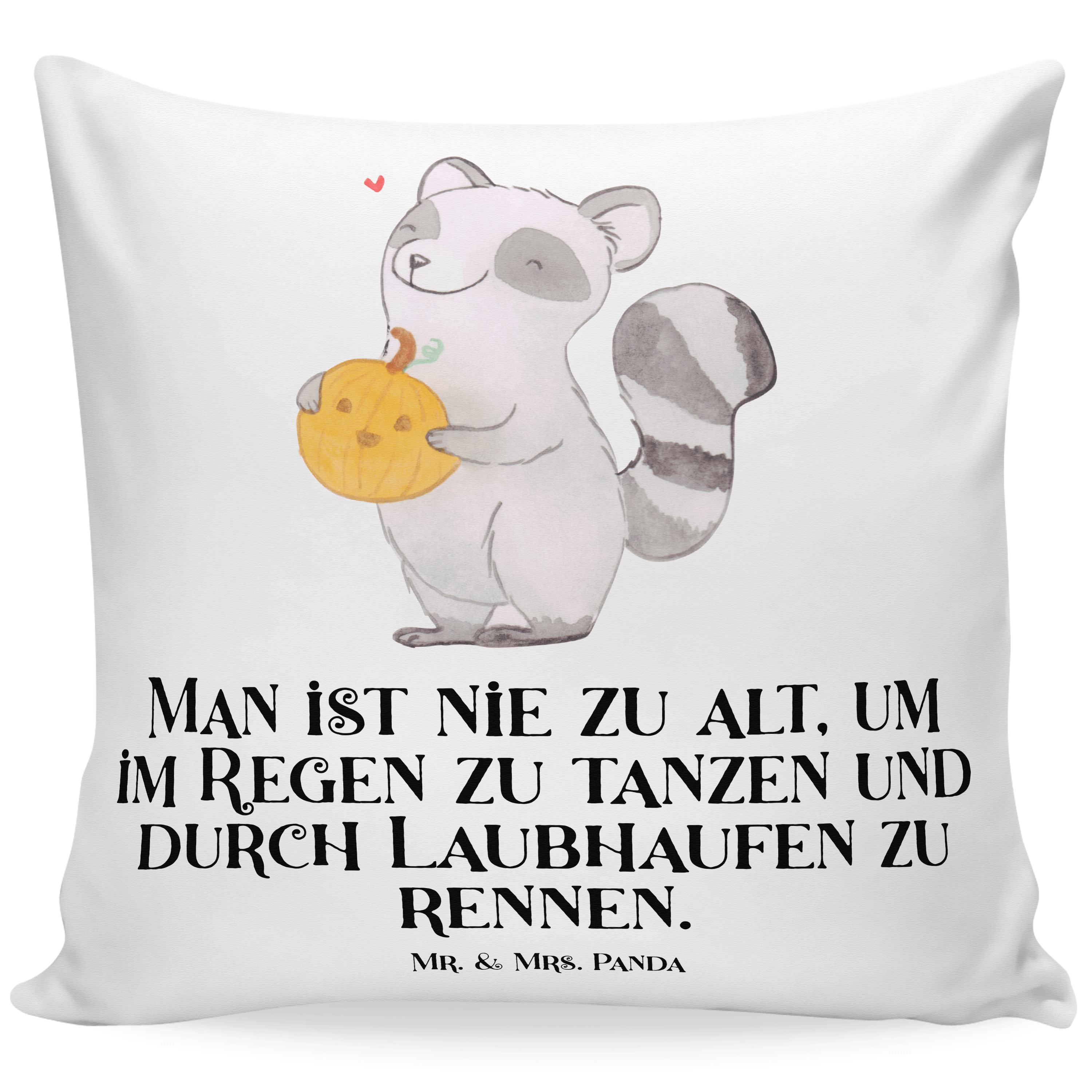 40x40 Kissen Waschbär Kürbis