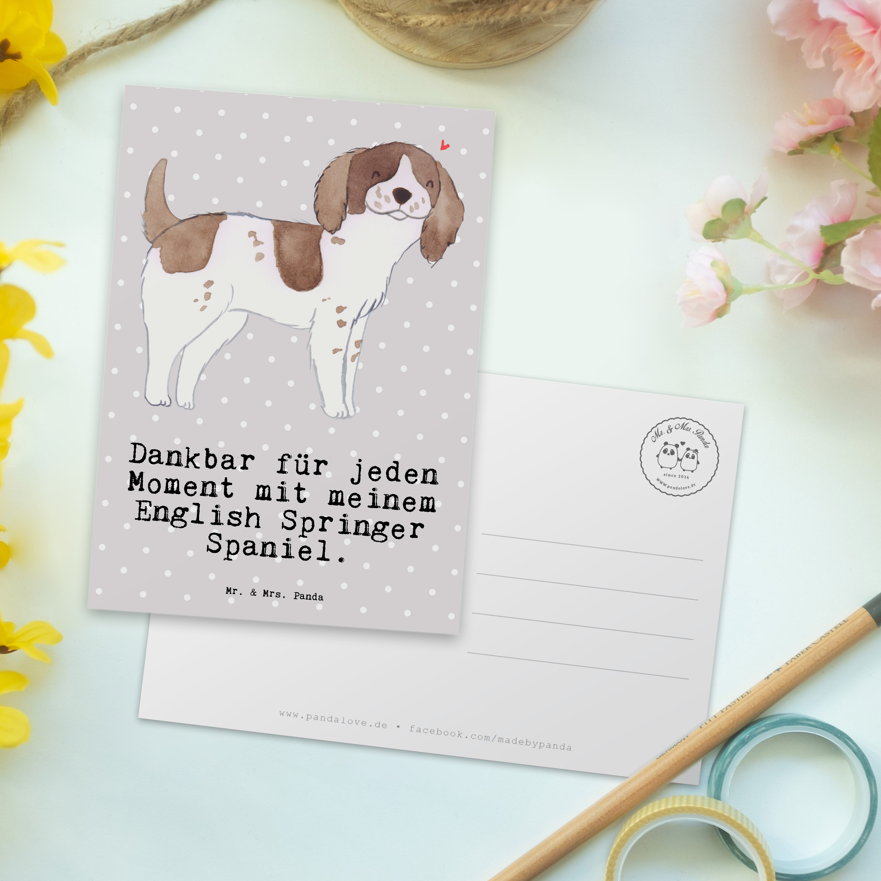 Postkarte English Springer Spaniel Moment