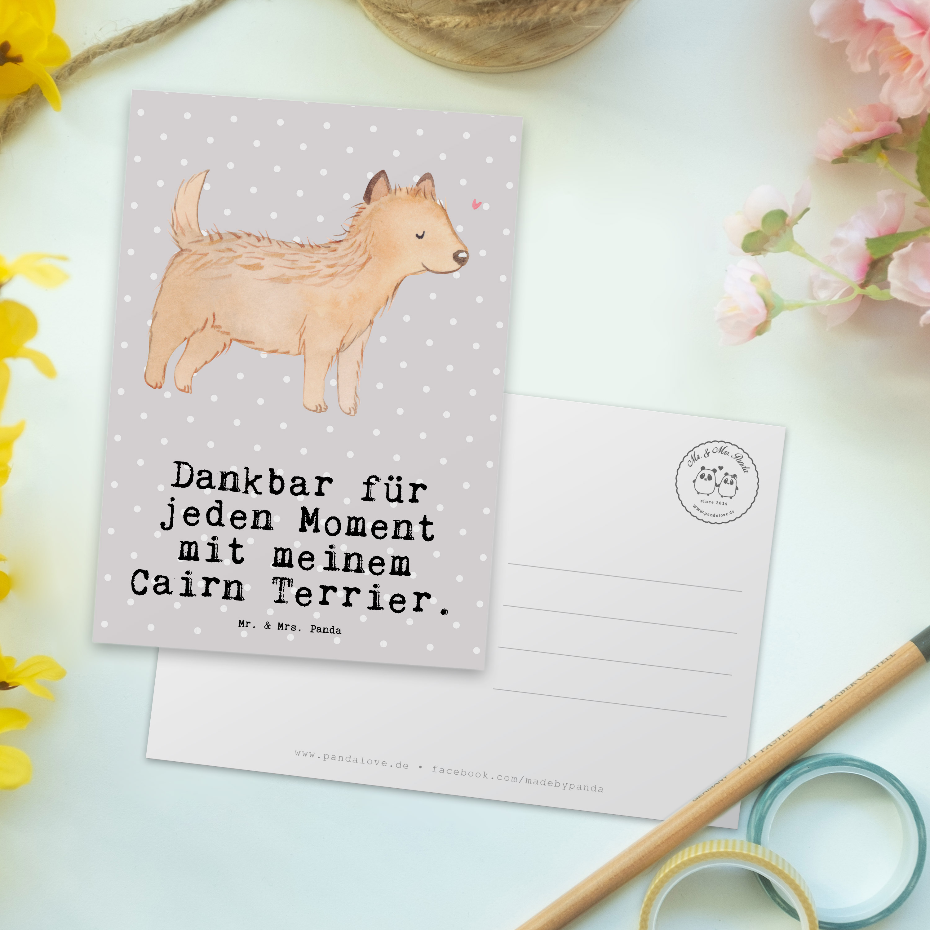 Postkarte Cairn Terrier Moment