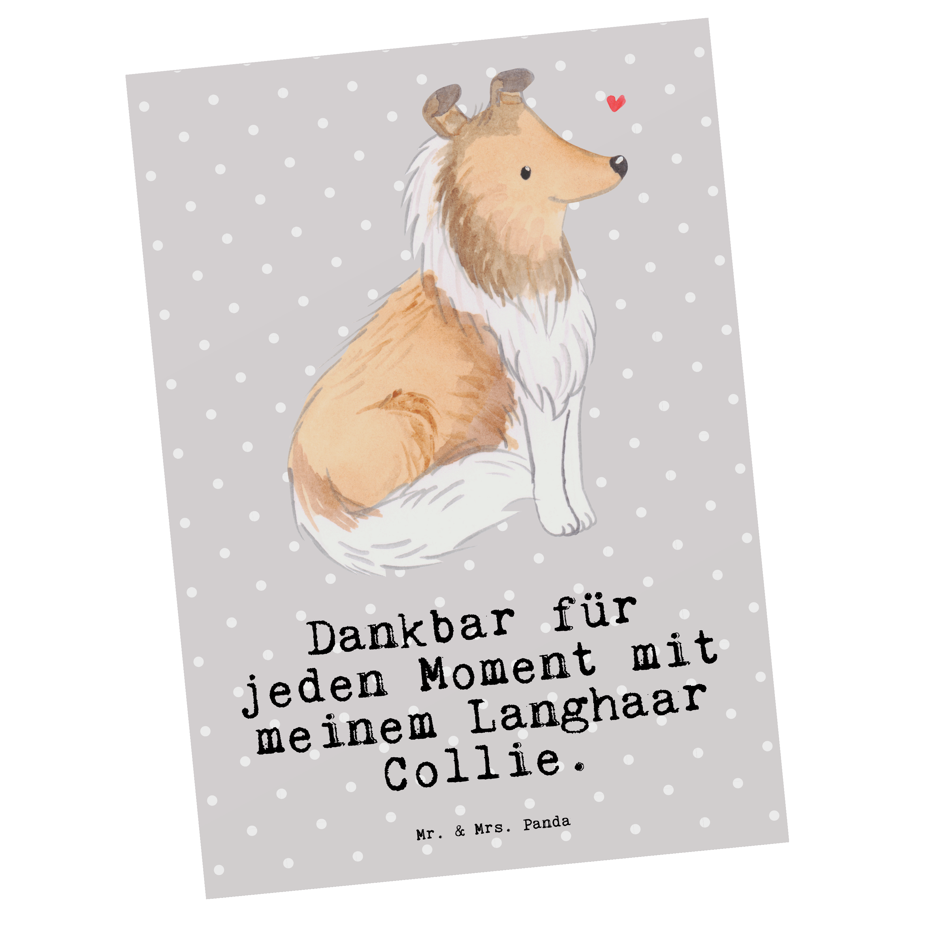 Postkarte Langhaar Collie Moment