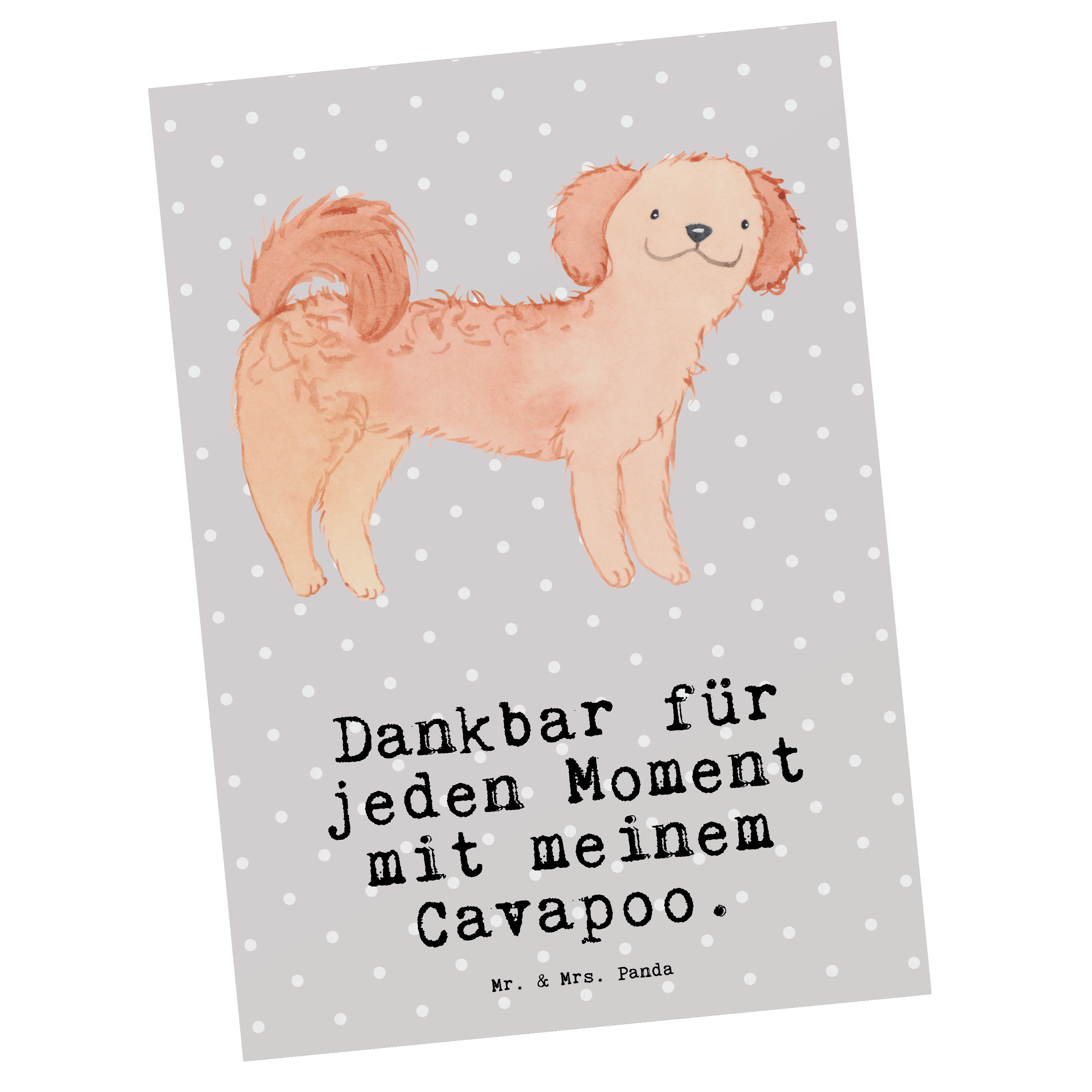 Postkarte Cavapoo Moment