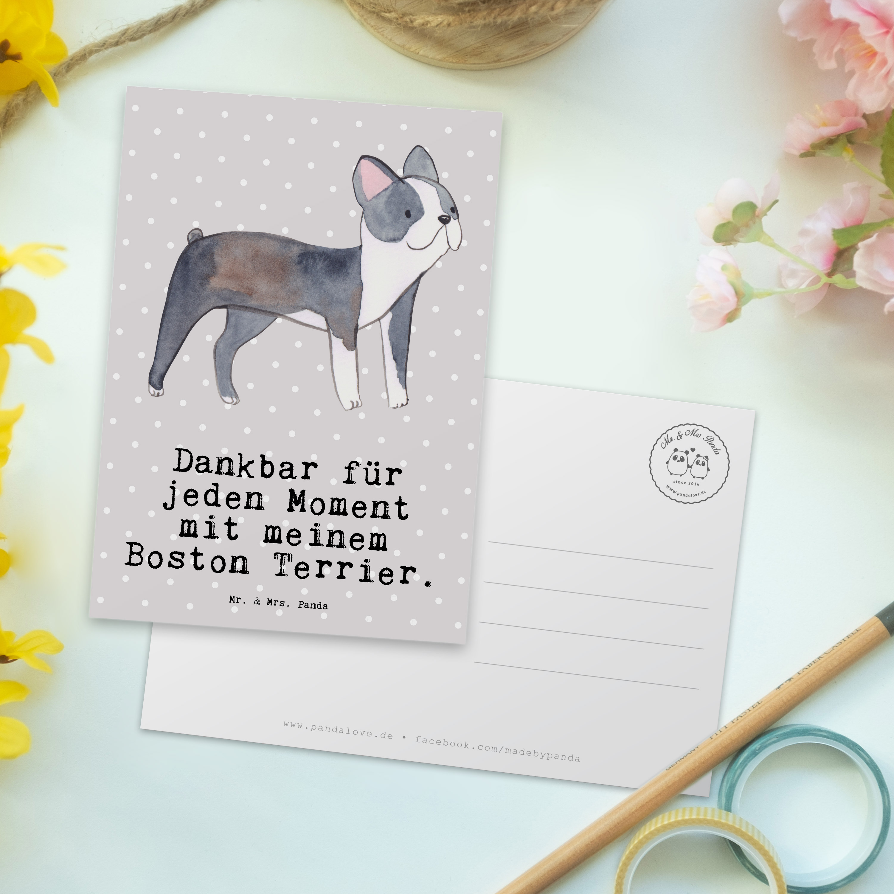 Postkarte Boston Terrier Moment