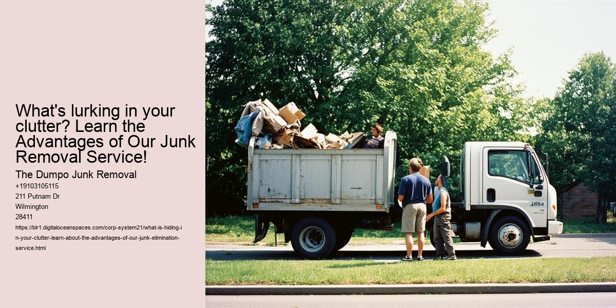 What Is Hiding in Your Clutter? Learn about the advantages of our junk elimination service!