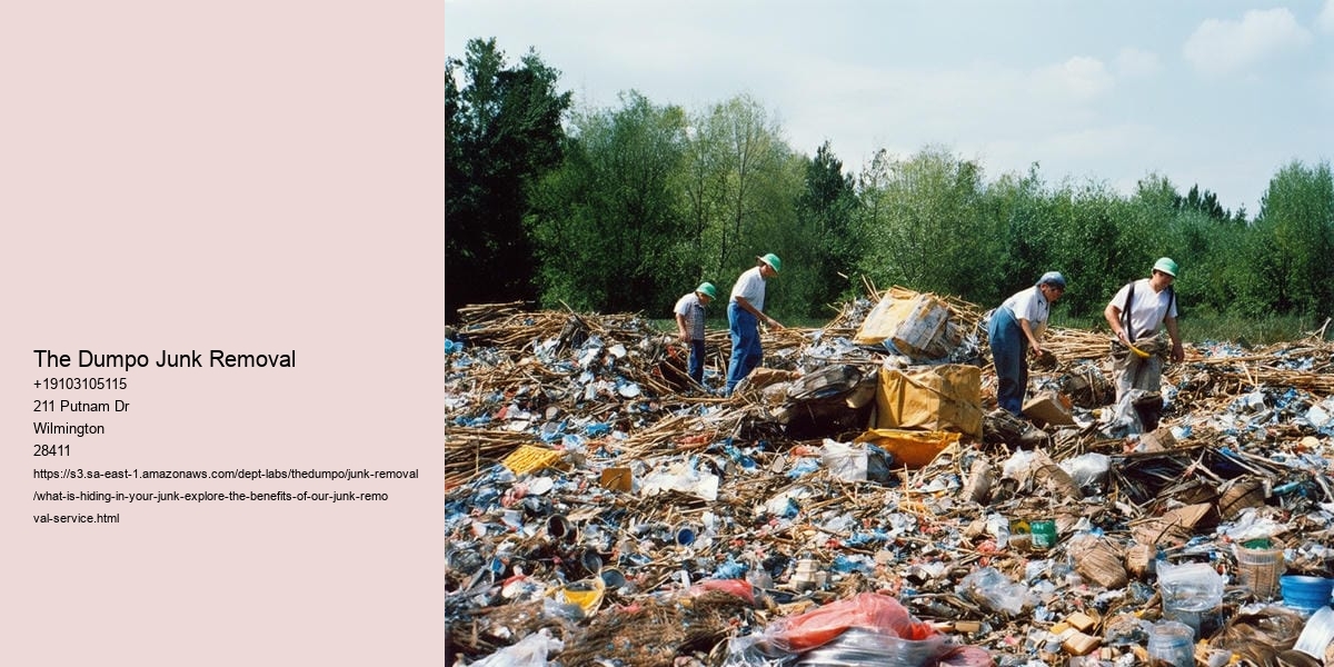 What Is Hiding in Your Junk? Explore the Benefits of Our Junk Removal Service!