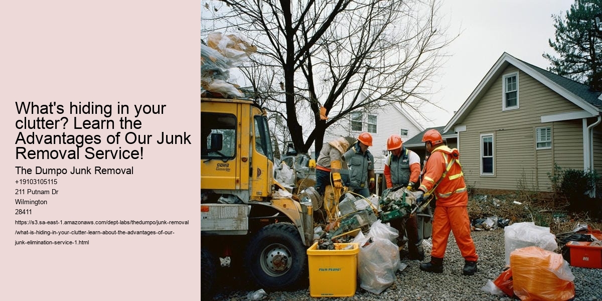 What Is Hiding in Your Clutter? Learn about the advantages of our junk elimination service!
