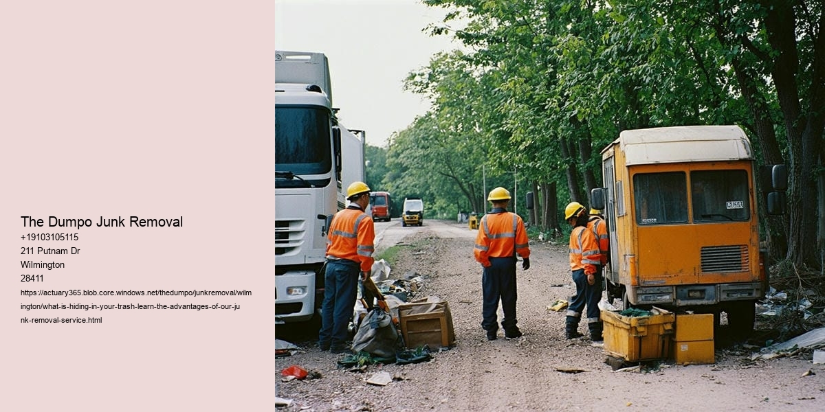 What Is Hiding in Your Trash? Learn the Advantages of Our Junk Removal Service!