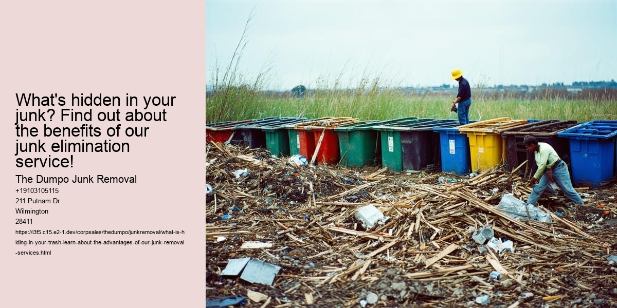 What Is Hiding in Your Trash? Learn about the advantages of our junk removal services!