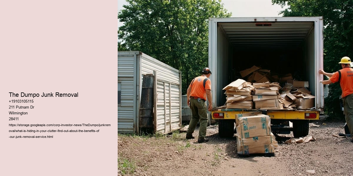 What Is Hiding in Your clutter? Find out about the benefits of our junk removal service!