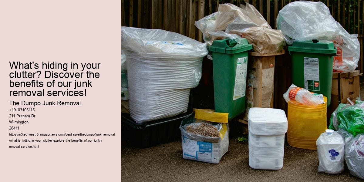 What Is Hiding in Your clutter? Explore the Benefits of Our Junk Removal Service!