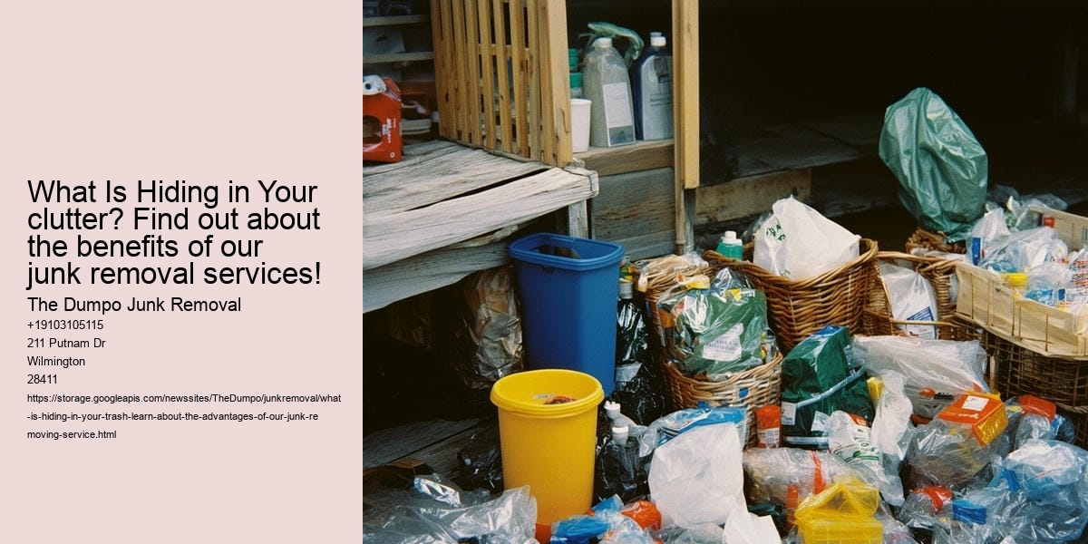 What Is Hiding in Your Trash? Learn about the advantages of our junk-removing service!