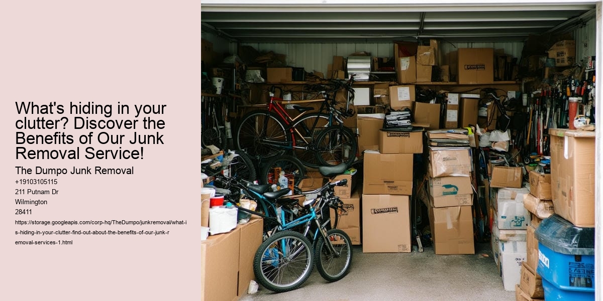 What Is Hiding in Your Clutter? Find out about the benefits of our junk removal services!