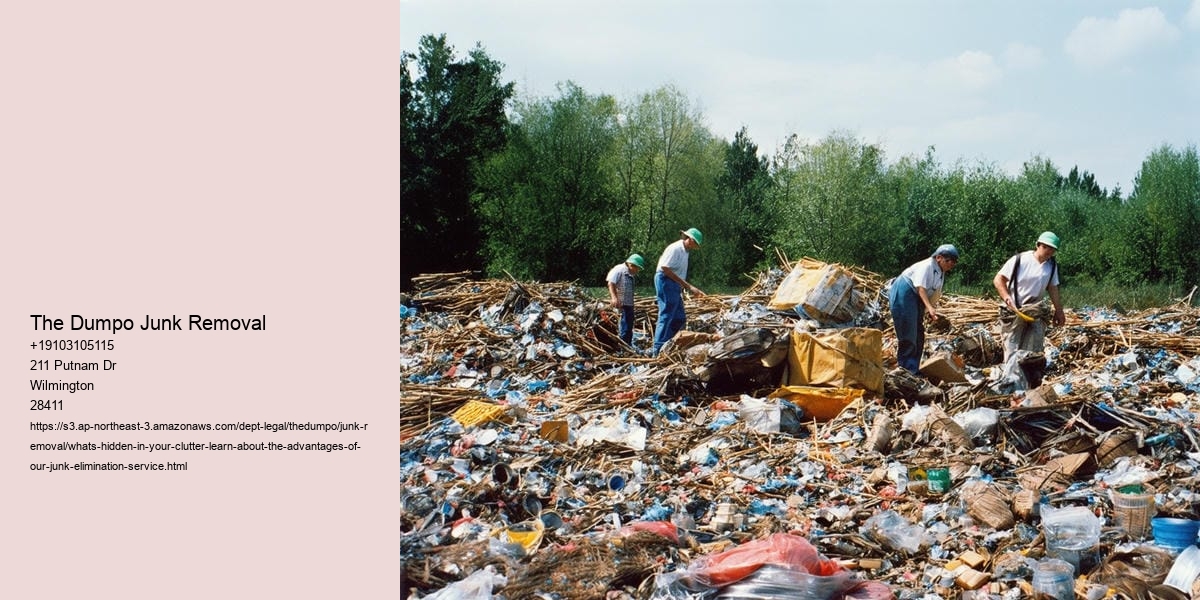 What's hidden in Your clutter? Learn about the advantages of our junk elimination service!