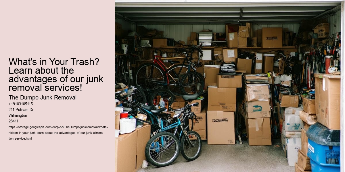 What's hidden in your junk? Learn about the advantages of our junk elimination service!