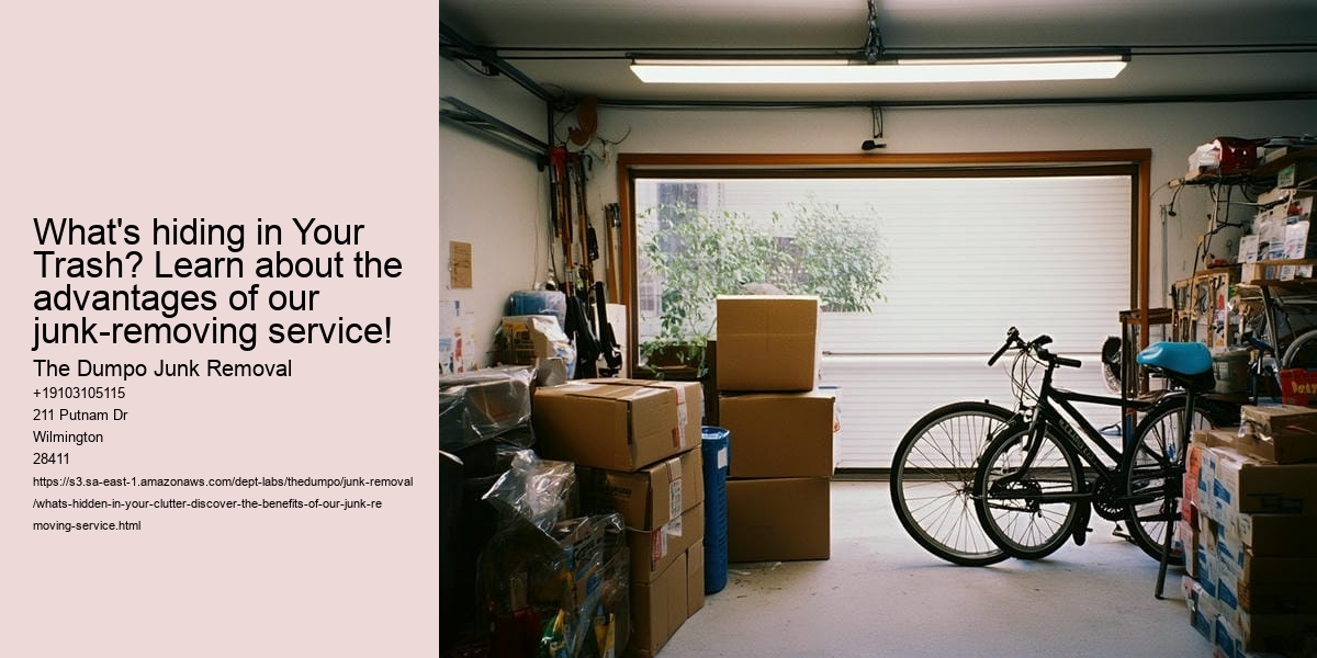 What's hidden in Your Clutter? Discover the benefits of our junk-removing service!