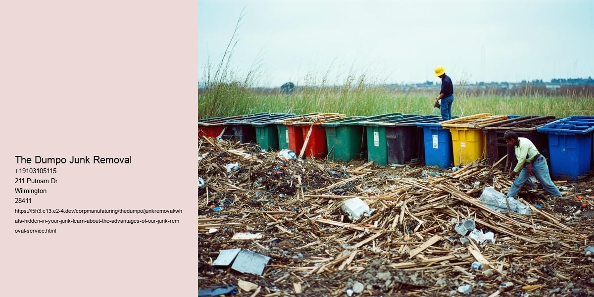 What's hidden in your junk? Learn about the advantages of our junk removal service!