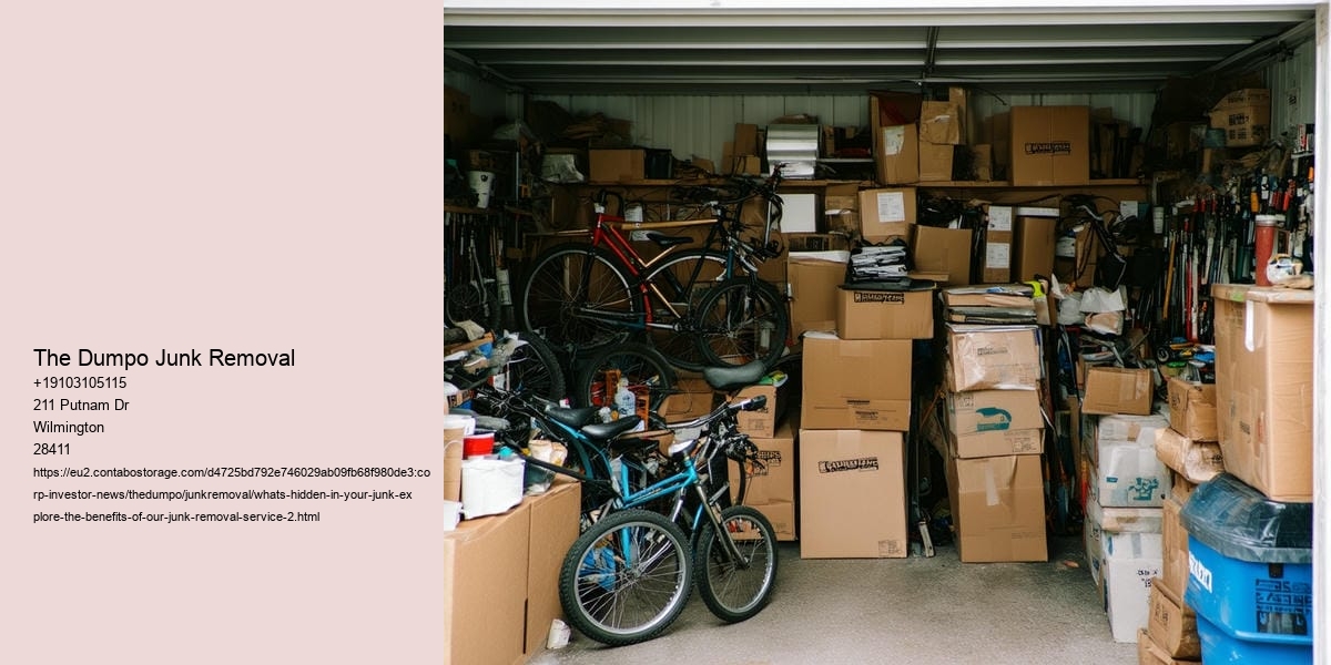 What's hidden in your junk? Explore the Benefits of Our Junk Removal Service!