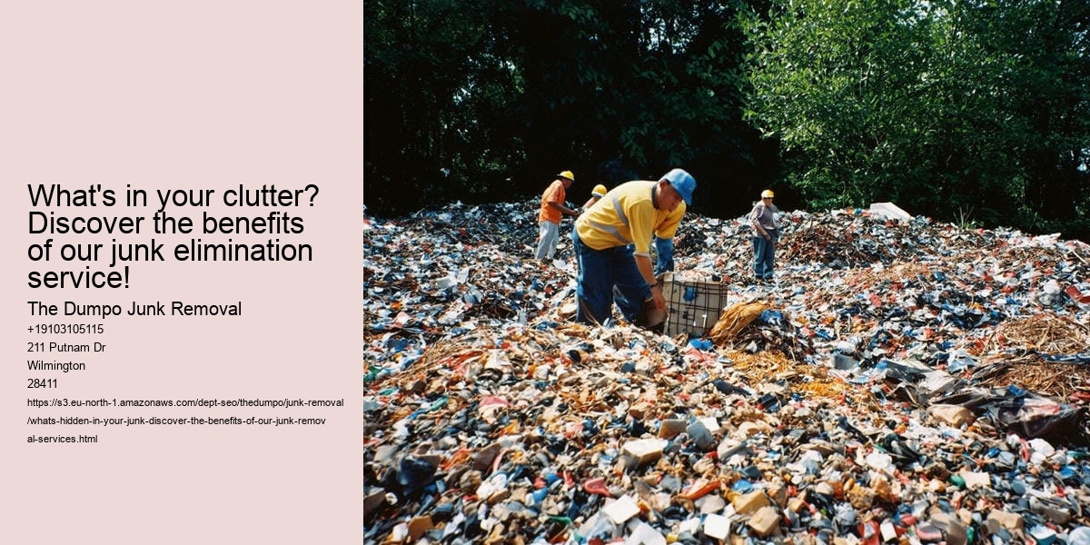 What's hidden in your junk? Discover the benefits of our junk removal services!