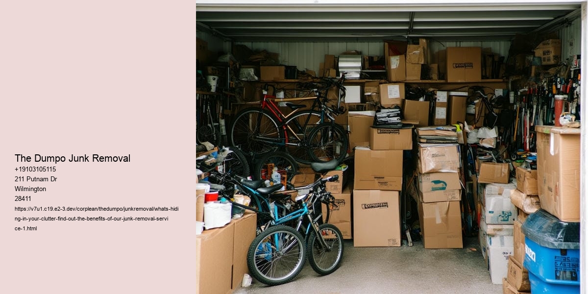 What's hiding in Your clutter? Find out the benefits of our junk removal service!