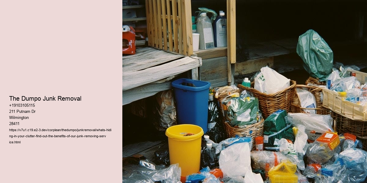 What's hiding in Your clutter? Find out the benefits of our junk-removing service!