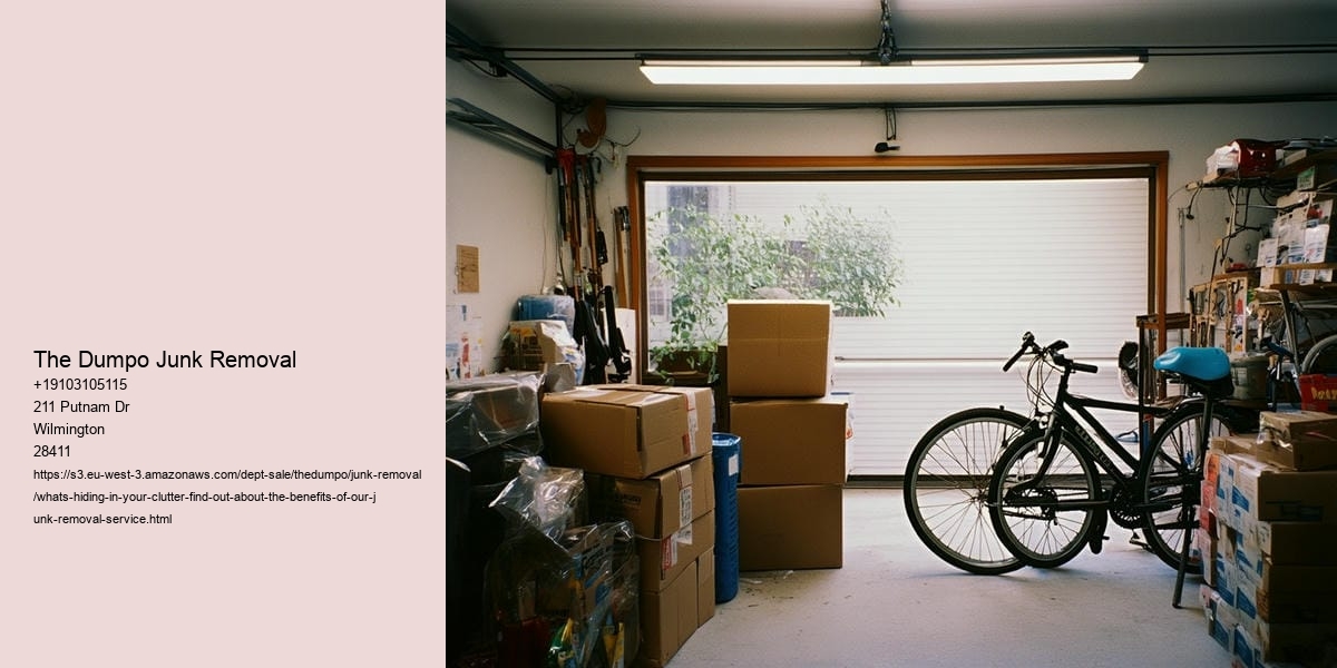 What's hiding in your clutter? Find out about the benefits of our junk removal service!