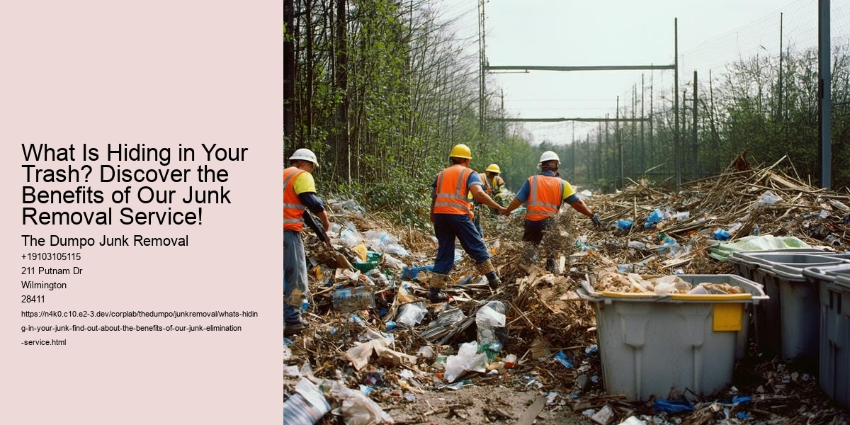 What's hiding in Your Junk? Find out about the benefits of our junk elimination service! The Dumpo Junk Removal What's hiding in Your Junk? Find out about the benefits of our junk elimination service!