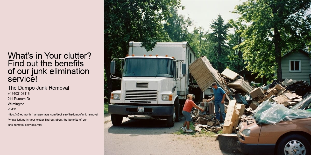 What's lurking in your clutter? Find out about the benefits of our junk removal services!