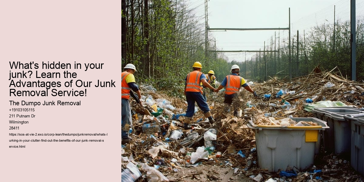 What's lurking in your clutter? Find out the benefits of Our Junk Removal Service!