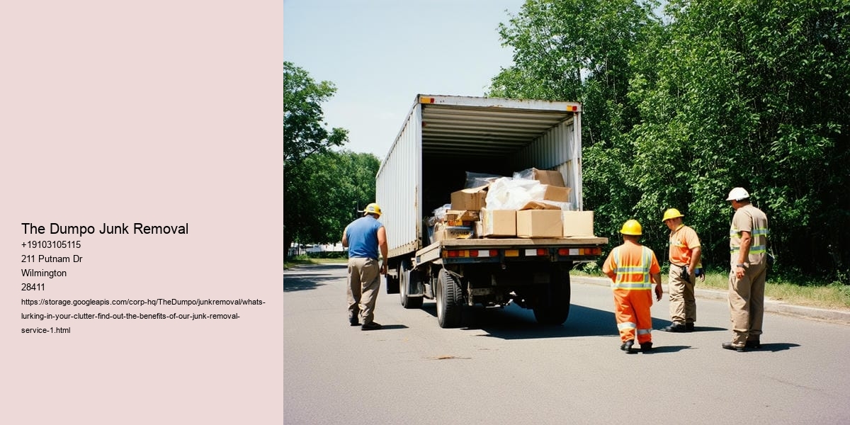 What's lurking in your clutter? Find out the benefits of Our Junk Removal Service!