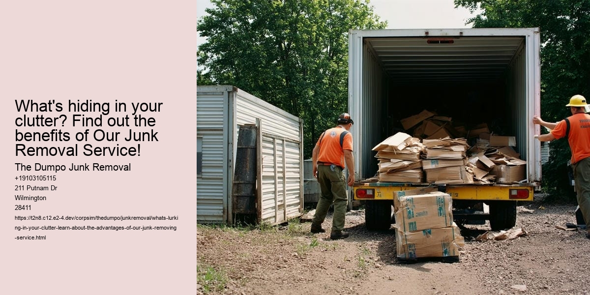 What's lurking in your clutter? Learn about the advantages of our junk-removing service!