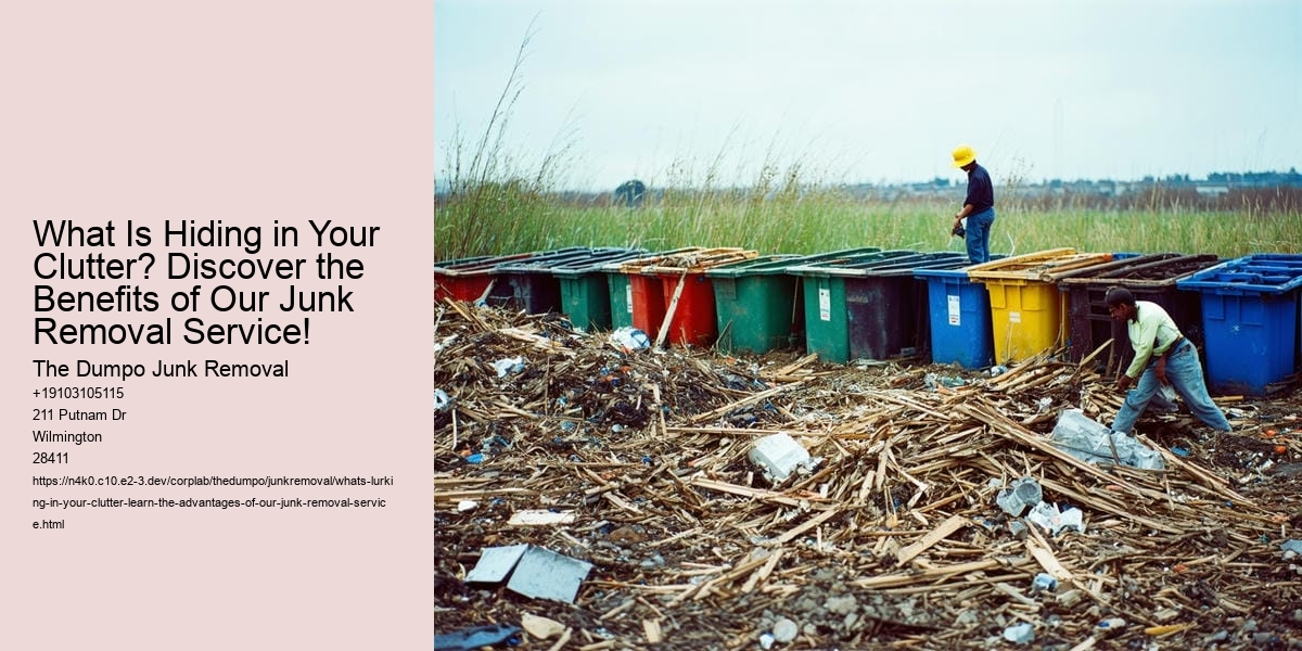 What's lurking in your clutter? Learn the Advantages of Our Junk Removal Service!
