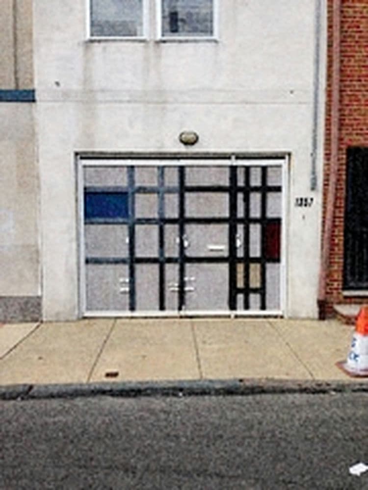 professional garage door