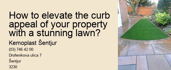 How to elevate the curb appeal of your property with a stunning lawn?