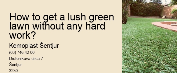 How to get a lush green lawn without any hard work?