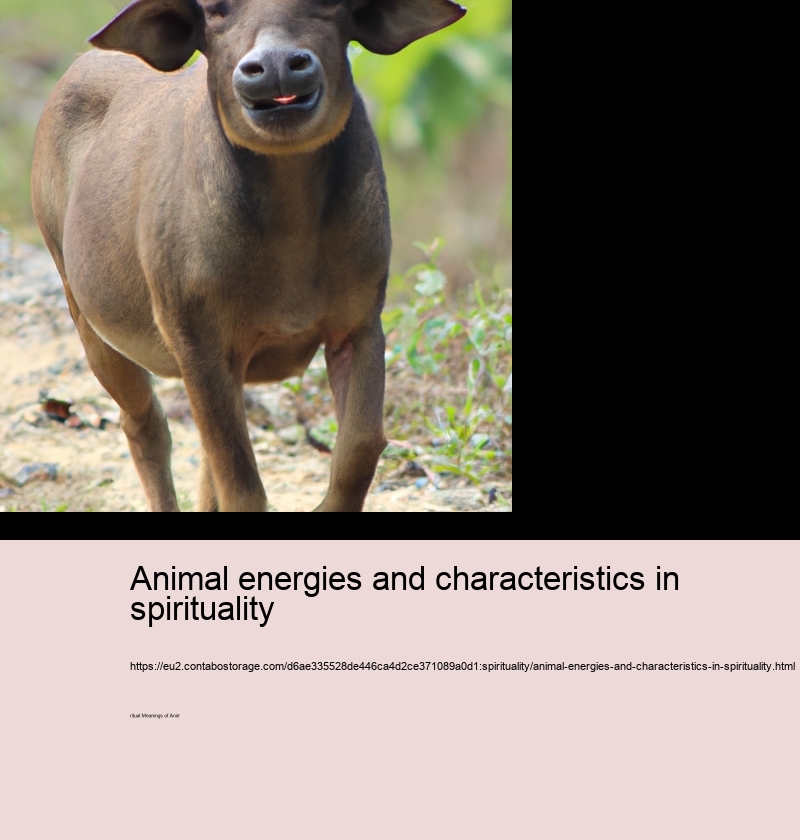 Animal energies and characteristics in spirituality