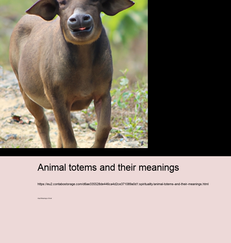 Animal totems and their meanings