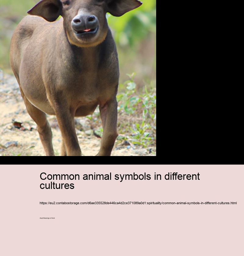 Common animal symbols in different cultures