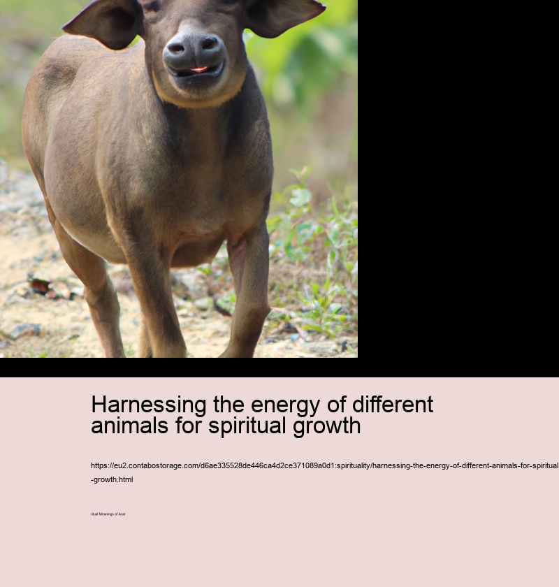 Harnessing the energy of different animals for spiritual growth