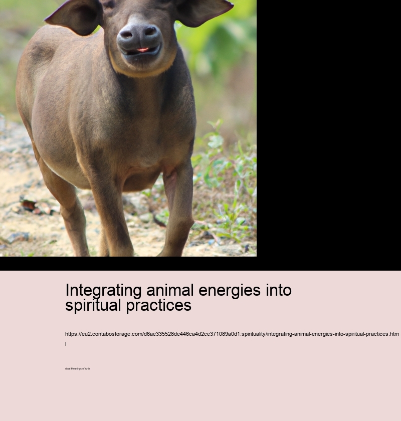 Integrating animal energies into spiritual practices