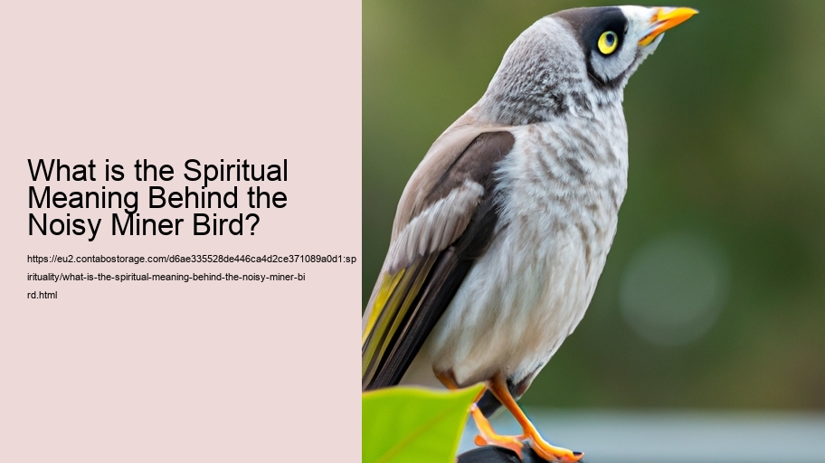 What is the Spiritual Meaning Behind the Noisy Miner Bird?