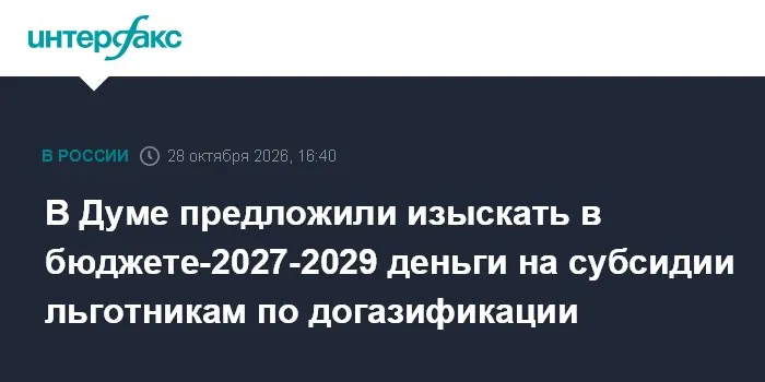 В Думе предложили изыскать в бюджете-2027-2029 деньги на субсидии льготникам по догазификации