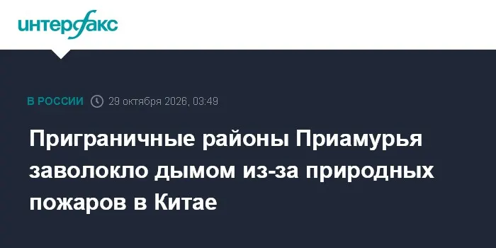Приграничные районы Приамурья заволокло дымом из-за природных пожаров в Китае