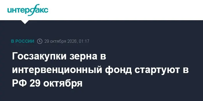 Госзакупки зерна в интервенционный фонд стартуют в РФ 29 октября