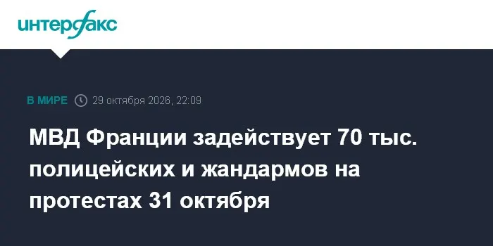 МВД Франции задействует 70 тыс. полицейских и жандармов на протестах 31 октября