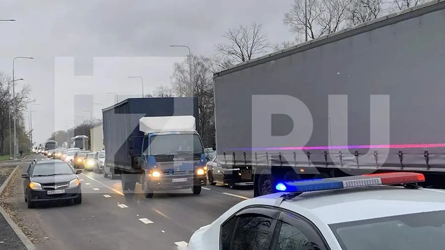 Гибель девочки под шкафом и охотника от медведя. Главные происшествия 29 октября