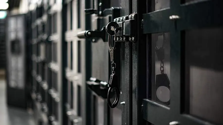 В Ленобласти задержан подозреваемый в убийстве женщины и ребенка