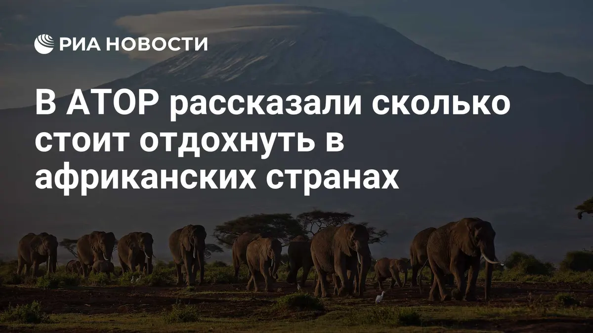 В АТОР рассказали сколько стоит отдохнуть в африканских странах