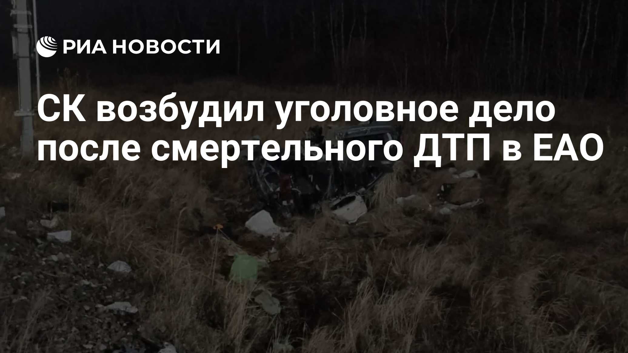 СК возбудил уголовное дело после смертельного ДТП в ЕАО